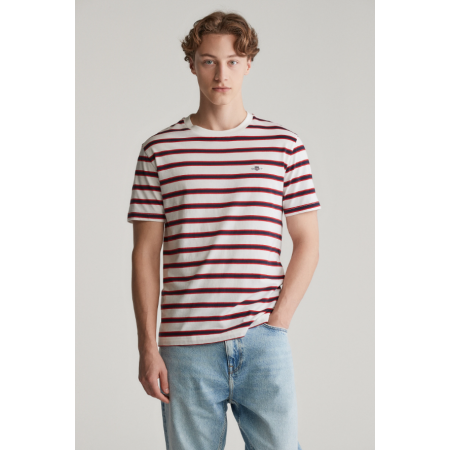 GANT Ανδρικό Βαμβακερό Ριγέ T-Shirt Κανονική Γραμμή 2003320 113 Λευκό GANT Ανδρικό Βαμβακερό Ριγέ T-Shirt Κανονική Γραμμή 2003320 113 Λευκό