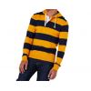 Gant Men's Cotton Regular Fit Barstripe Heavy Rugger Hoddie 2005044 710 Ivy Gold