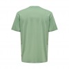 ONLY & SONS Ανδρικό T-shirt με στάμπα Vintage Print 22028593-Hedge Green (Πράσινο)