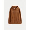 Tommy Jeans Ανδρικό Φούτερ Linear Logo Hoodie Regular Fit DM0DM20746-GVP (Pecan Nut Multi)