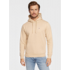 Tommy Jeans Ανδρικό Φούτερ TJM Regular Hoodie Twilight DM0DM09593-AB4 (Μπεζ)