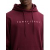 Tommy Jeans Ανδρικό Φούτερ Linear Logo Hoodie Regular Fit DM0DM20746-XIU Red Wine Multi (Μπορντώ)