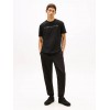 Tommy Jeans  Ανδρικό T-Shirt LINEAR LOGO TEE Regular Fit DM0DM20744-SEV(Μαύρο/Πορτοκαλί)