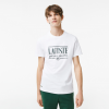 Lacoste Men's Cotton Regular Fit Jersey T-shirt TH0322 00 001 White