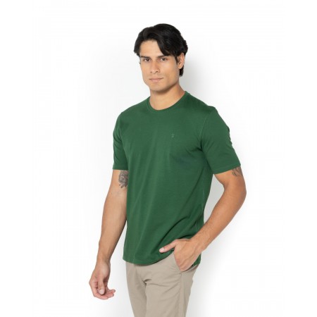 THE BOSTONIANS Men's Cotton Regular Fit Essential T-Shirt TS1241 B030GB Bright Green