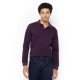 THE BOSTONIANS Men's Regular Fit Cotton Pique Polo PL0001 B170PU Purrple